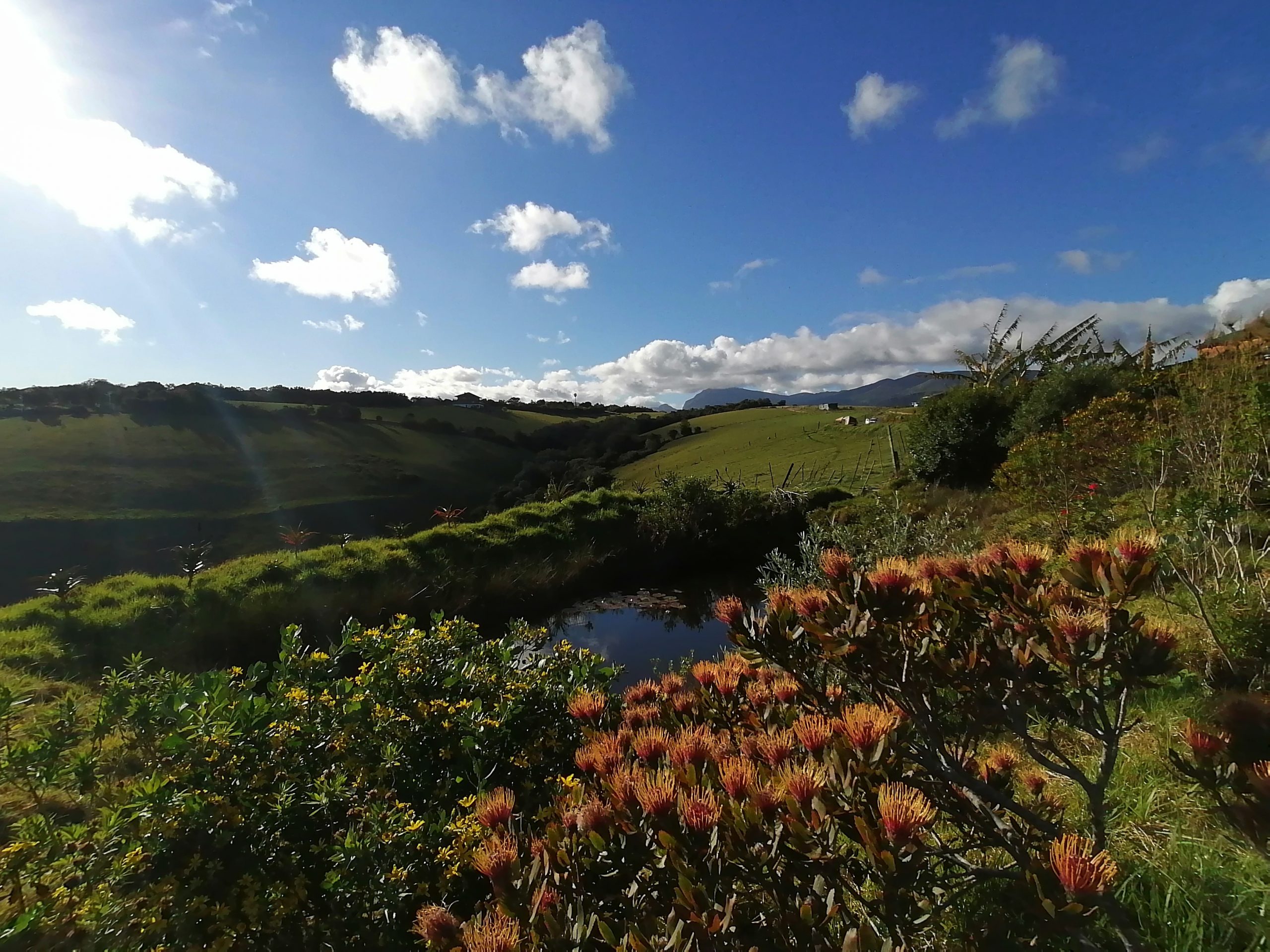 Bitcoin Accomodation, The Wildfarm, Wilderness, South Africa!